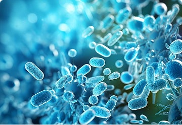 Gut Microbiome